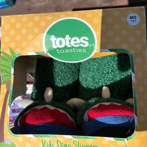 Dino Slippers
